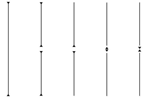 Mastering Visual Hierarchy with Divider Border Vertical Line Assets